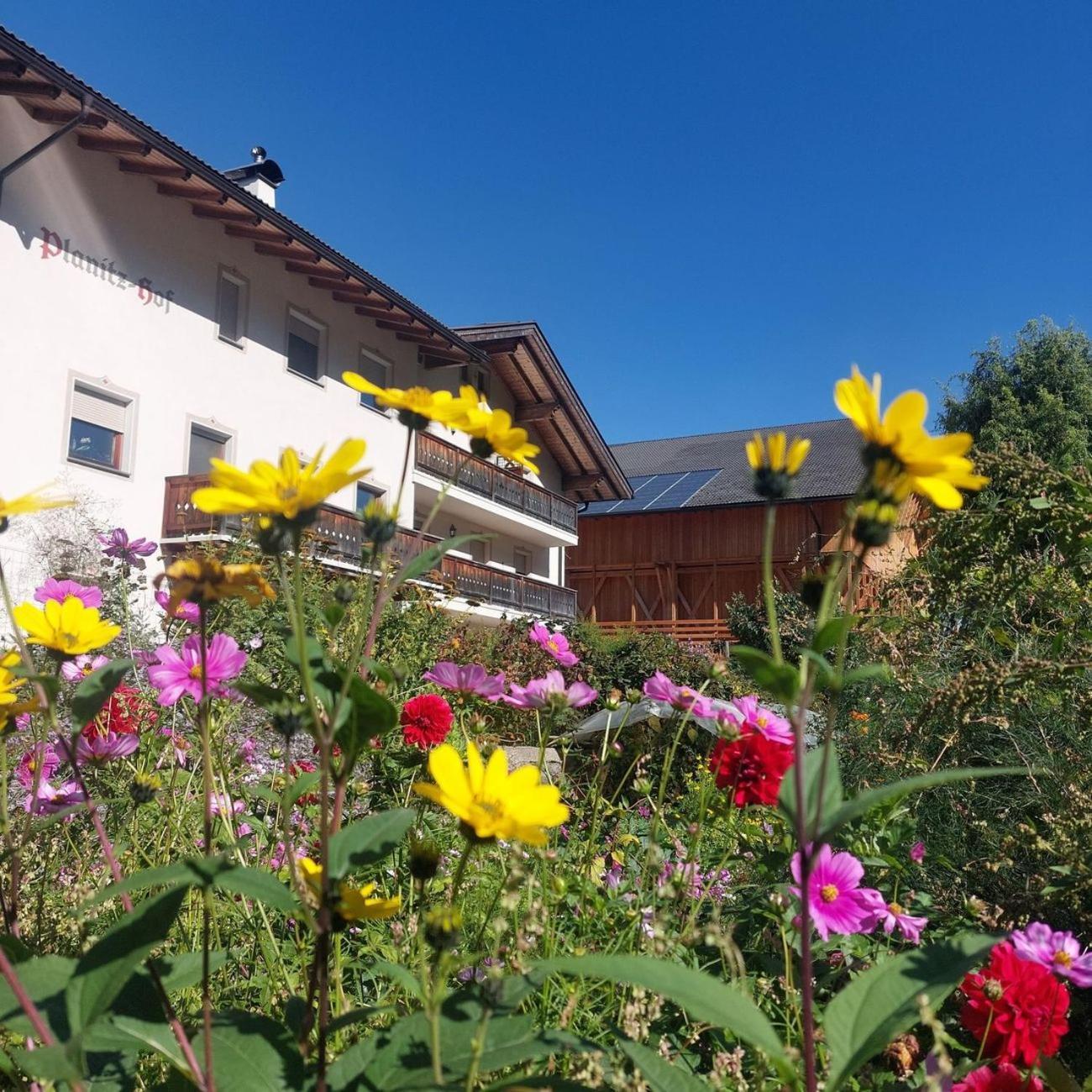 Villa Planitzhof à Castelrotto Extérieur photo